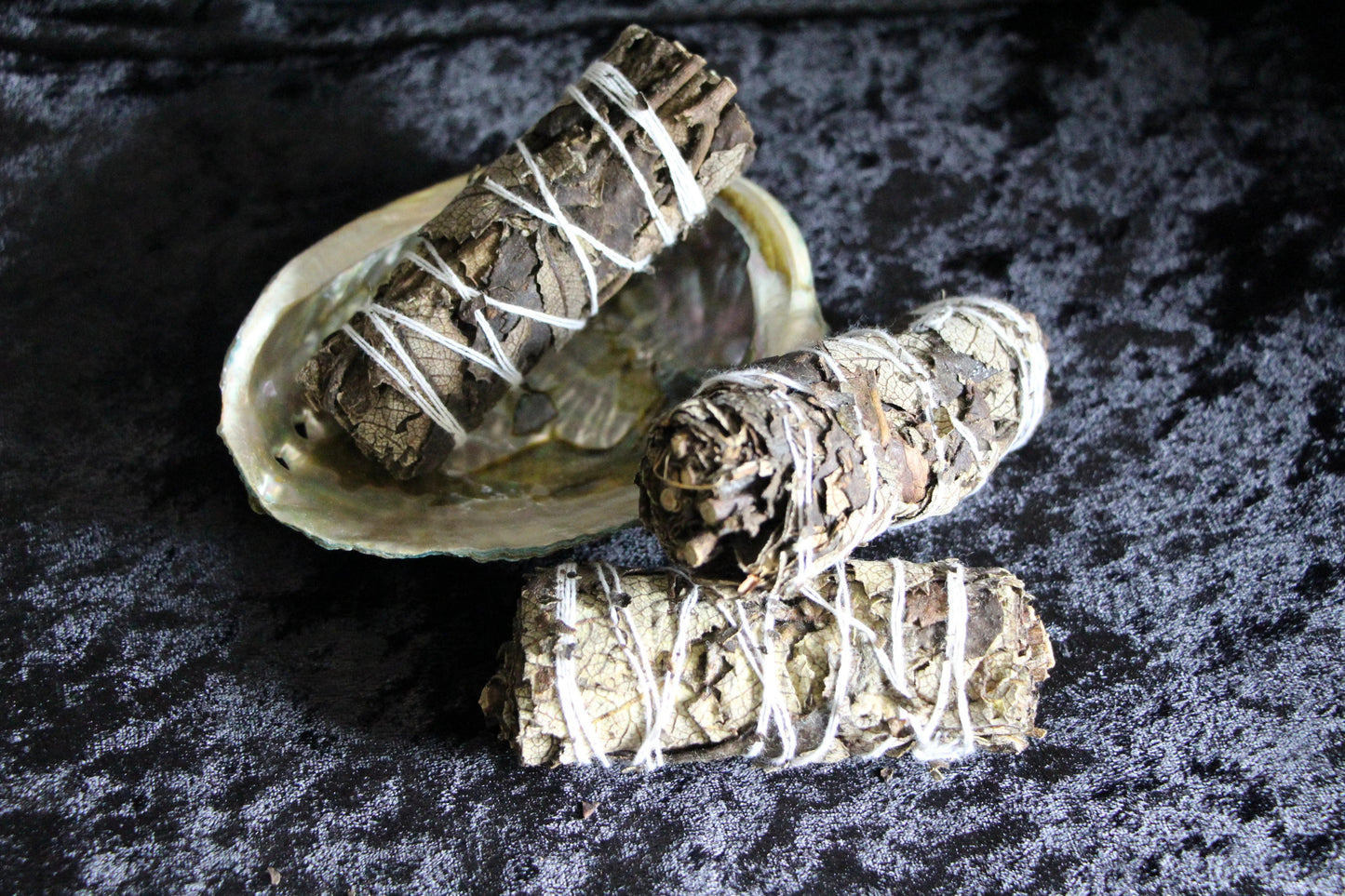 Handcrafted black sage smudge sticks with white string on abalone shell, ritual cleansing tool