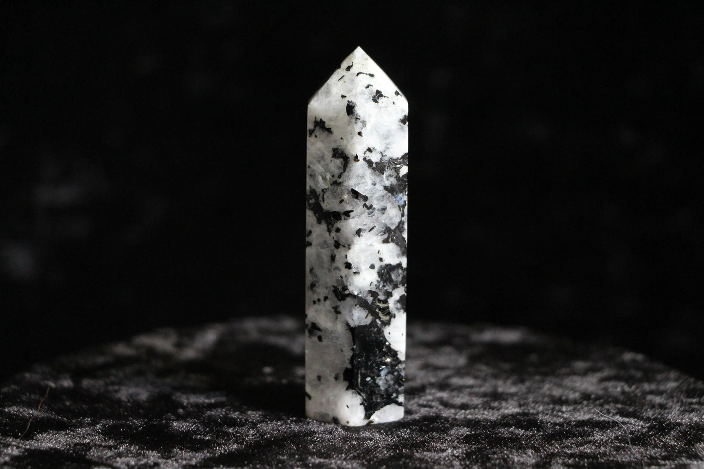 Black and white speckled crystal point standing on dark textured surface with black background