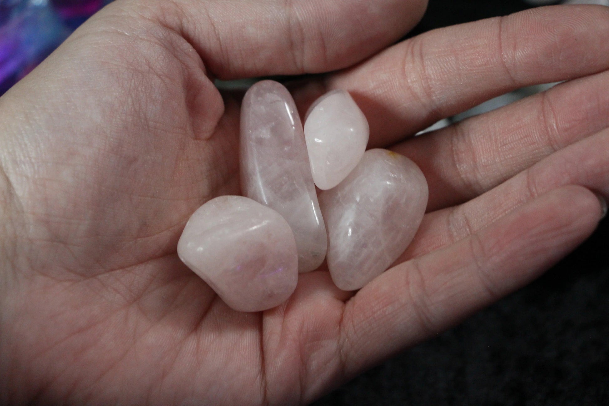 Hand holding polished rose quartz crystals for modern witch rituals