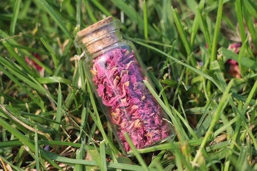 Small glass bottle filled with dried pink rose petals lying on green grass
