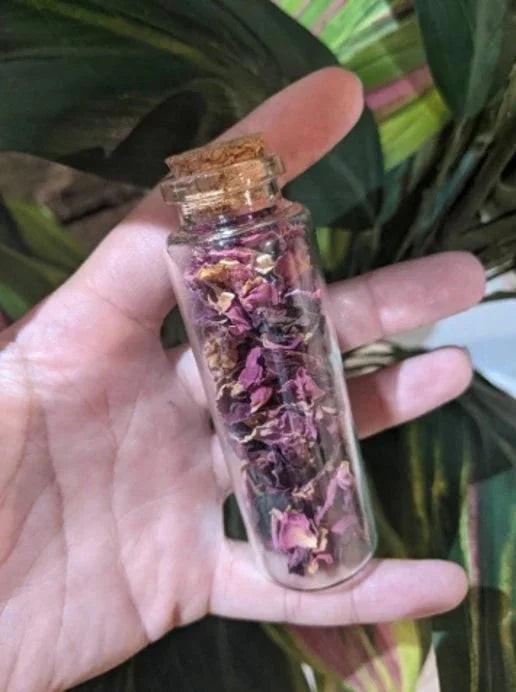 Hand holding a small glass bottle with cork stopper filled with dried pink and purple flower petals against green leaves background